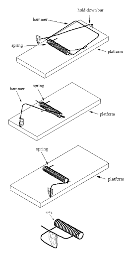 Mousetraps Not Working? Here's What to Do